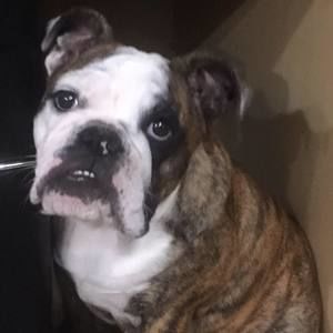 Meet your Posher, Ted